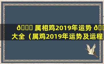 🕊 属相鸡2019年运势 🐕 大全（属鸡2019年运势及运程每月运程）